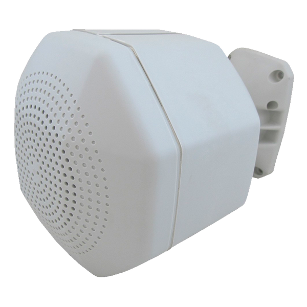 DNH™ PS-6LS Wall Speaker [A306P]